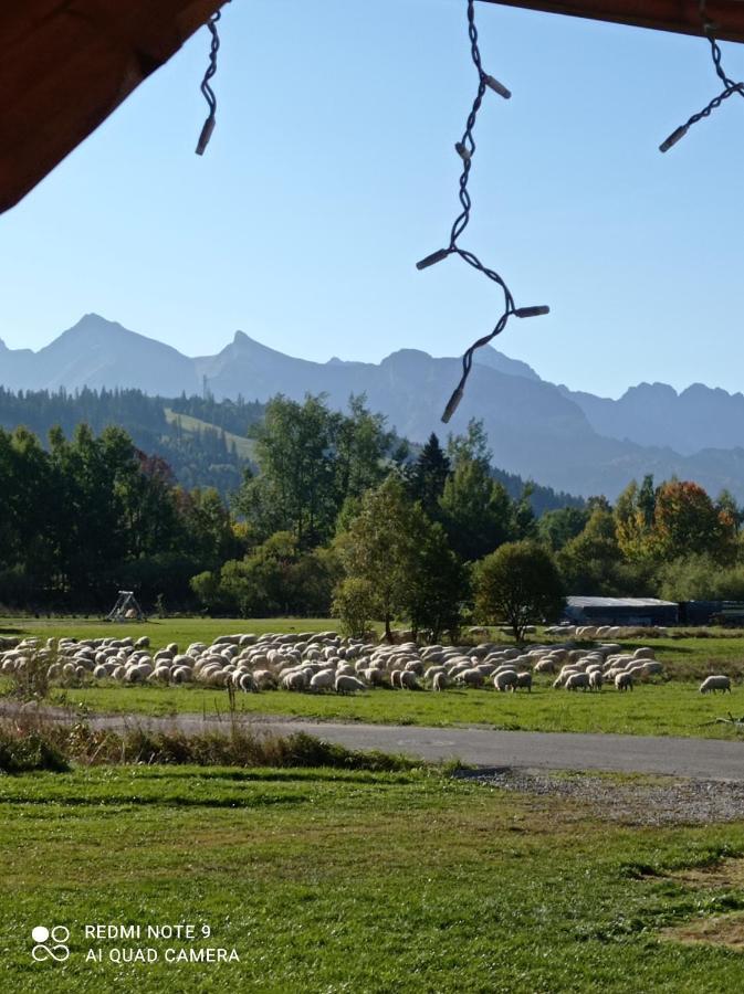 Domki ,,Goramiba" Юргув Экстерьер фото